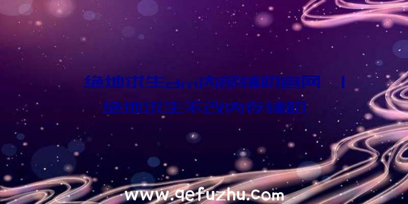 「绝地求生dm内部辅助官网」|绝地求生不改内存辅助